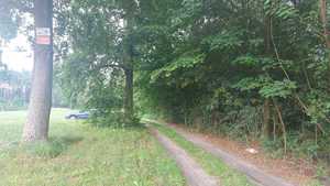 Zdjęcie przedstawia drogę gruntową przy lesie oraz stojący za drzewami i krzakami samochód osobowy koloru zielonego