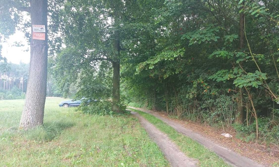Zdjęcie przedstawia drogę gruntową przy lesie oraz stojący za drzewami i krzakami samochód osobowy koloru zielonego