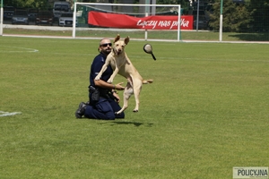 Piknik na Agrykoli z okazji święta Policji