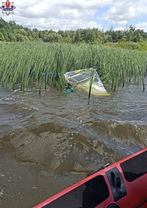 na zdjęciu deska windsurfingowa w zaroślach