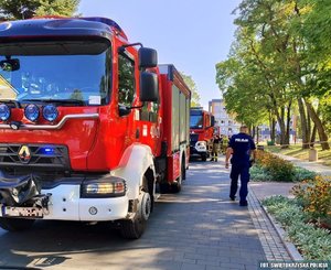 umundurowany policjant i strażacy na miejscu zdarzenia, obok wozy strażackie