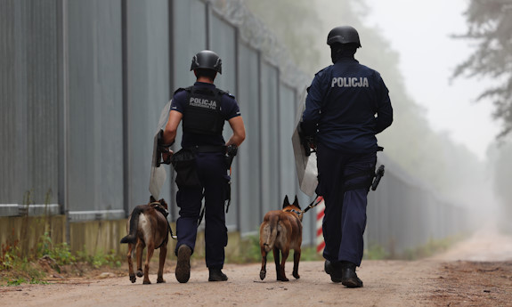 Dwaj policjanci z psami patrolują pas graniczny.