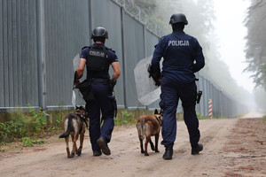 Dwaj policjanci z psami patrolują pas graniczny.