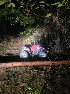 Pora nocna. Quad stojący w zaroślach