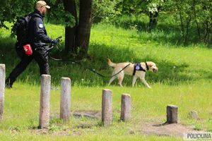 policjant z psem na smyczy