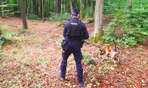 policjant z psem służbowym podczas poszukiwań