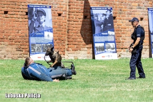 Policjant z psem w trakcie zawodów kynologicznych.