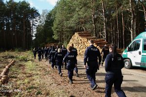 Grupa policjantów w trakcie poszukiwań kieruje się do lasu.