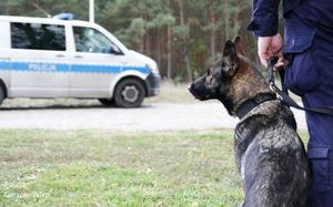 Na pierwszym planie pies przy nodze policjanta, w tle radiowóz policyjny.