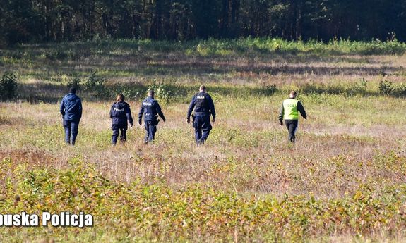 pięciu policjantów idą przez pole w kierunku lasu.