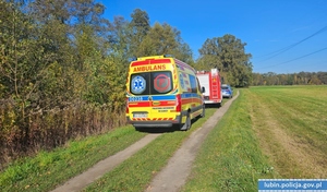 Karetka, straż pożarna i radiowóz nad rzeką.