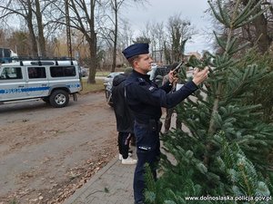policjant sprawdza choinkę.