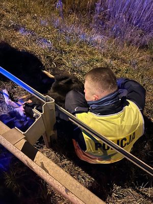 Na zdjęciu umundurowany policjant siedzi przy drodze z psem.