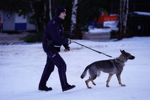 Na zdjęciu policjant z psem służbowym na stoku narciarskim.