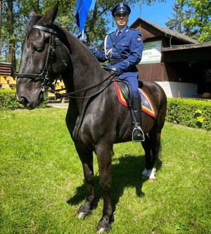 policjant siedzi na koniu.