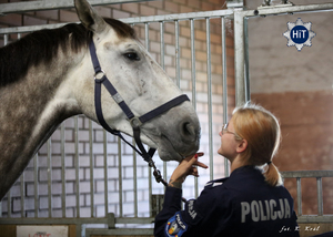 Policjantka stoi przy koniu.