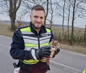 policjant trzyma na rękach puchacza.