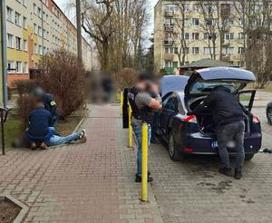 Dwaj policjanci zakładają kajdanki mężczyźnie leżącemu przed budynkiem. Obok policjanci przeszukują samochód.