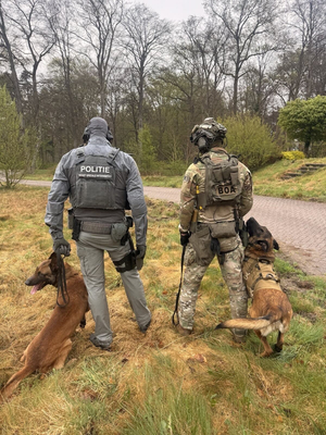 policjant z Holandii stoi obok policjanta z Polski. towarzyszą im dwa psy.