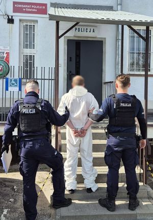 Dwaj umundurowani policjanci z zatrzymanym. Widok z tyłu.