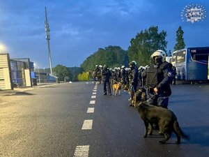 Policjanci z psami służbowymi stojący na ulicy.