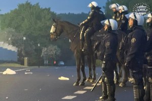 Policjanci na koniach.