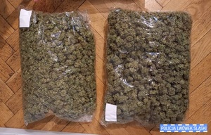 Marihuana w foliowych woreczkach.