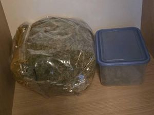 Marihuana w foliowych workach.