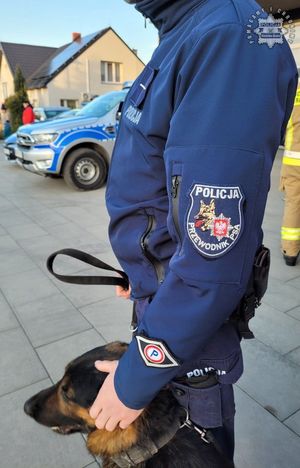 Na zdjęciu umundurowany policjant z psem służbowym.