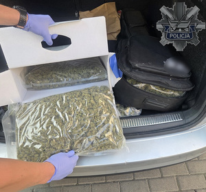 Ponad 40 kilogramów narkotyków zabezpieczonych w dwóch niezależnych realizacjach łódzkich policjantów