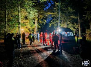 służby podczas poszukiwań w lesie.