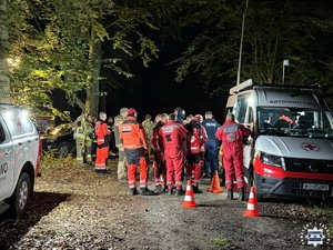 służby podczas poszukiwań w lesie.