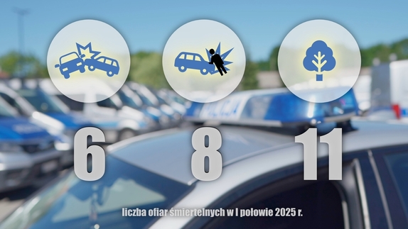 Grafika przedstawiająca statystykę - w tle widoczne radiowozy policyjne.