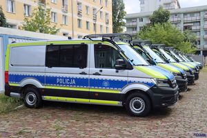 Zdjęcie przedstawia boczne części pojazdów: furgonów wypadowych, ustawionych w szeregu