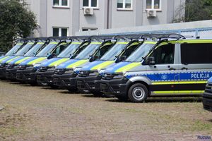 Zdjęcie przedstawia boczne części pojazdów: furgonów wypadowych, ustawionych w szeregu