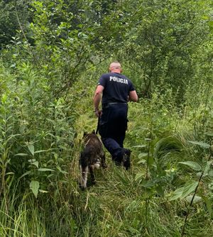 Policjant z psem w lesie.