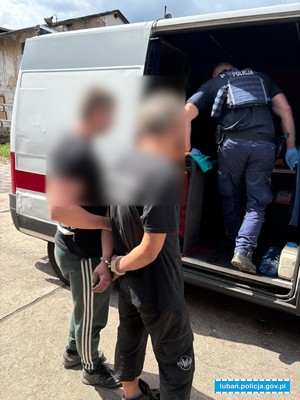 Policja wprowadza zatrzymanego do radiowozu.