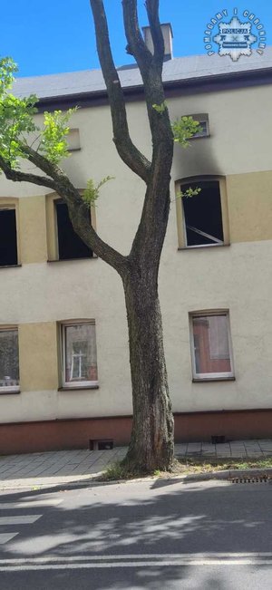 Na zdjęciu budynek.
