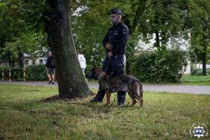 Policjanci zabezpieczają mecz piłkarski.
