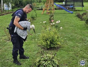 Policjant z bocianem owiniętym w koc.