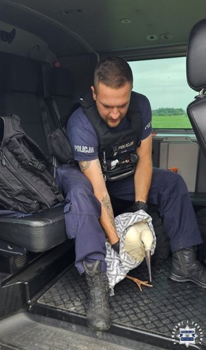 Policjant z bocianem w radiowozie.