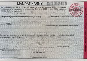 Mandat karny.