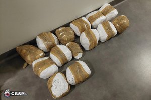 Zabezpieczone paczki z białym proszkiem.