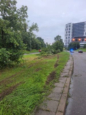 Policjanci pracują na miejscu wypadku.