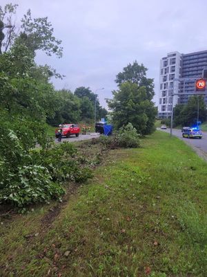 Policjanci pracują na miejscu wypadku.