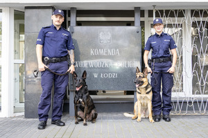 Przewodnicy wraz z psami służbowymi.