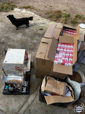 Zabezpieczone przez policjantów paczki papierosów w kartonie.