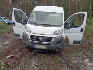 Fiat ducato na polanie leśnej.