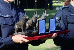Trzy statuetki w kształcie psa niesione przez osobę na specjalnej tacy.