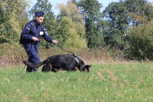 Policjant z psem podczas Mistrzostw.